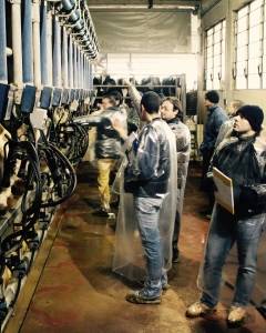 segnali dalla vacca farm manager academy