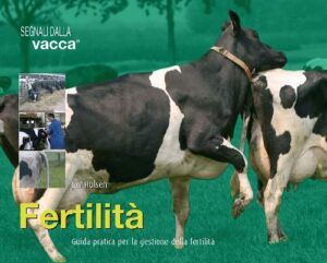 fertilita segnali dalla vacca