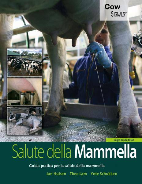 salute della mammella segnali dalla vacca salute della mammella segnali dalla vacca