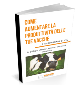 aumentare la produttività delle vacche