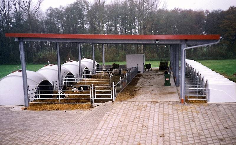 L’importanza della biosicurezza in vitellaia