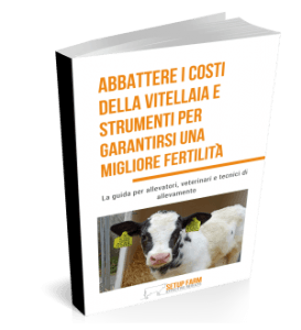 abbattere i costi della vitellaia