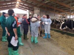 corso segnali dalla vacca